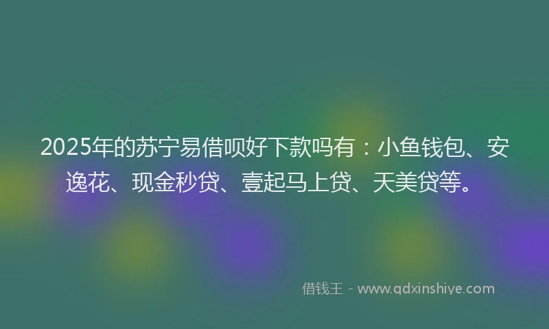 2025年的苏宁易借呗好下款吗有：小鱼钱包、安逸花、现金秒贷、壹起马上贷、天美贷等。