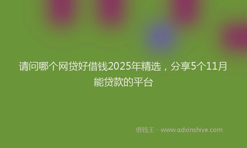 请问哪个网贷好借钱2025年精选，分享5个11月能贷款的平台