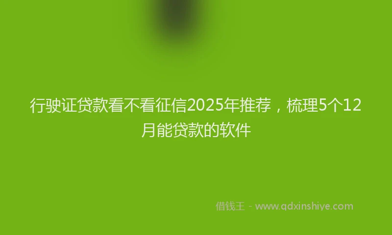 行驶证贷款看不看征信2025年推荐，梳理5个12月能贷款的软件