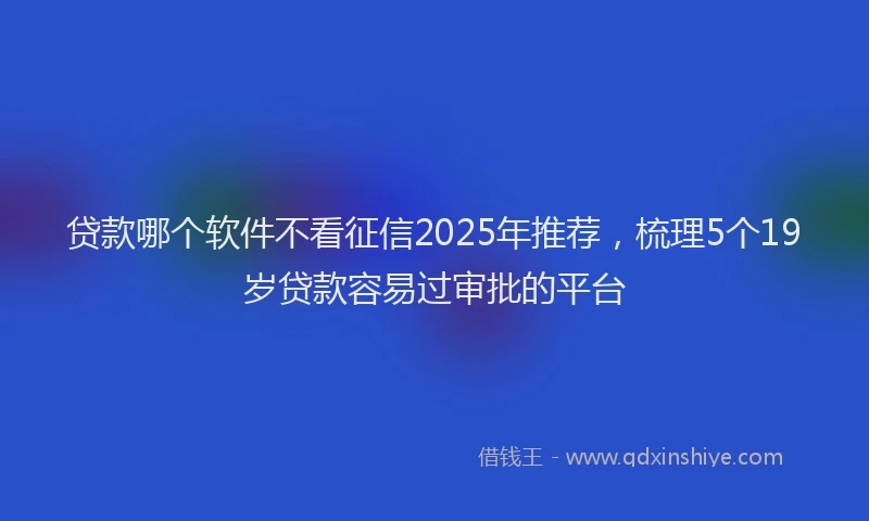 贷款哪个软件不看征信2025年推荐，梳理5个19岁贷款容易过审批的平台