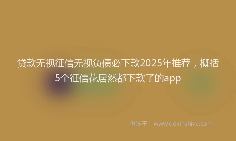 贷款无视征信无视负债必下款2025年推荐，概括5个征信花居然都下款了的app
