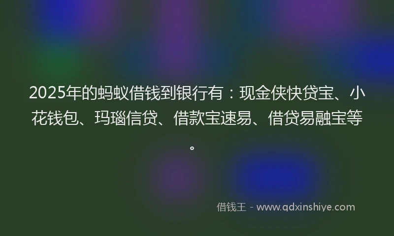 2025年的蚂蚁借钱到银行有：现金侠快贷宝、小花钱包、玛瑙信贷、借款宝速易、借贷易融宝等。