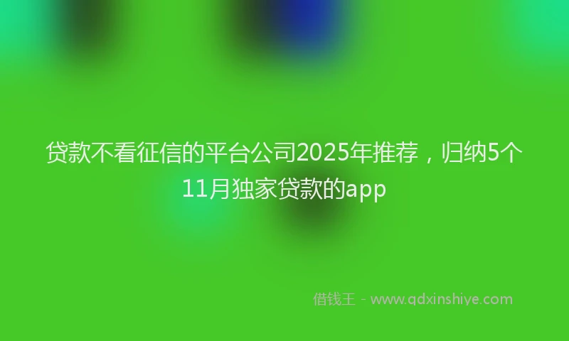 贷款不看征信的平台公司2025年推荐，归纳5个11月独家贷款的app