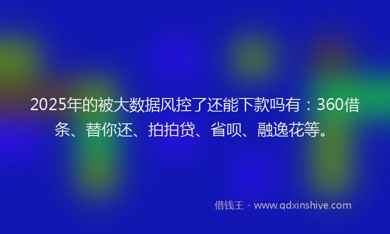 2025年的被大数据风控了还能下款吗有：360借条、替你还、拍拍贷、省呗、融逸花等。