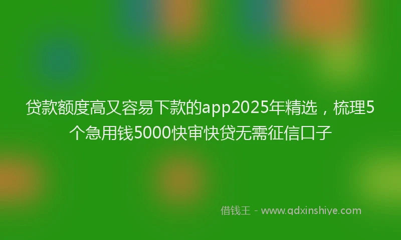 贷款额度高又容易下款的app2025年精选，梳理5个急用钱5000快审快贷无需征信口子