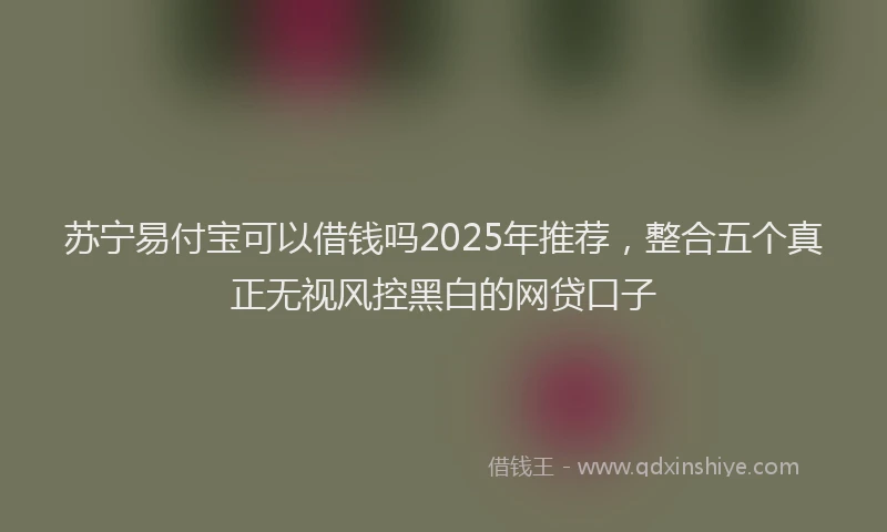 苏宁易付宝可以借钱吗2025年推荐，整合五个真正无视风控黑白的网贷口子