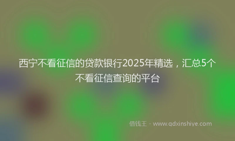 西宁不看征信的贷款银行2025年精选，汇总5个不看征信查询的平台