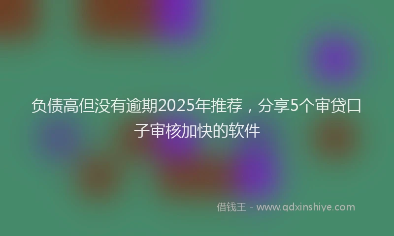 负债高但没有逾期2025年推荐，分享5个审贷口子审核加快的软件