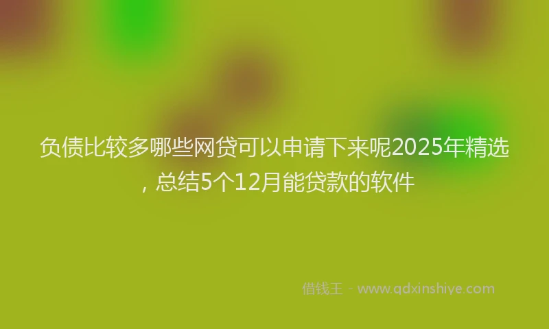 负债比较多哪些网贷可以申请下来呢2025年精选，总结5个12月能贷款的软件