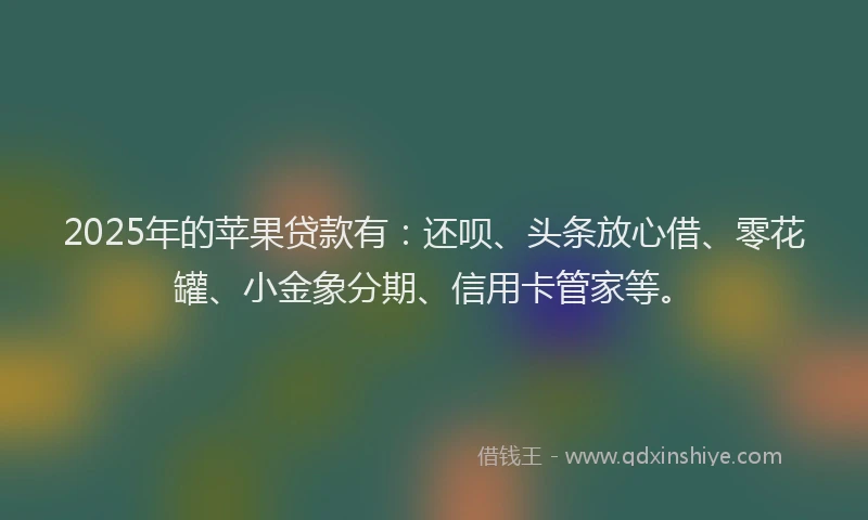 2025年的苹果贷款有：还呗、头条放心借、零花罐、小金象分期、信用卡管家等。