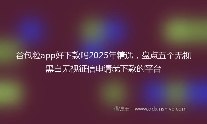 谷包粒app好下款吗2025年精选，盘点五个无视黑白无视征信申请就下款的平台