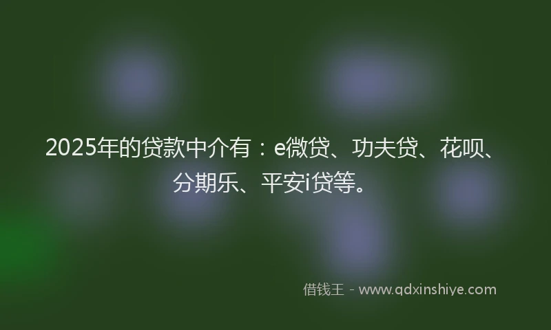 2025年的贷款中介有：e微贷、功夫贷、花呗、分期乐、平安i贷等。