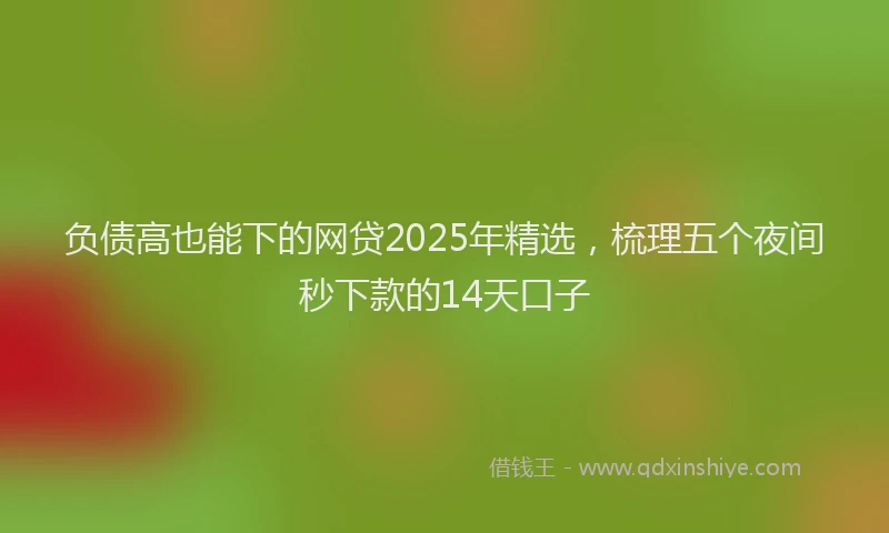 负债高也能下的网贷2025年精选，梳理五个夜间秒下款的14天口子