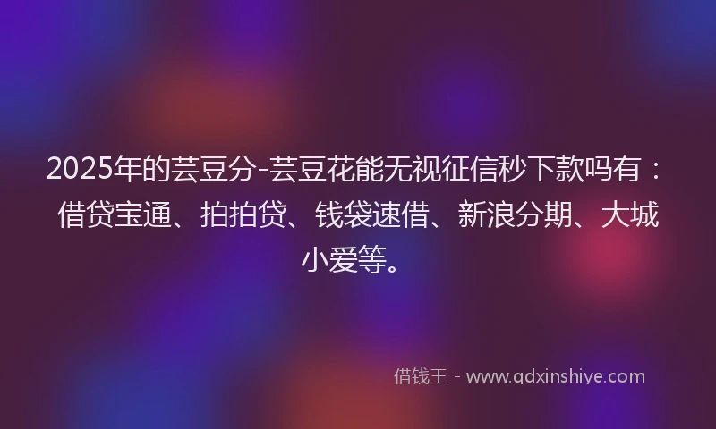 2025年的芸豆分-芸豆花能无视征信秒下款吗有：借贷宝通、拍拍贷、钱袋速借、新浪分期、大城小爱等。