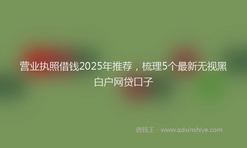 营业执照借钱2025年推荐，梳理5个最新无视黑白户网贷口子