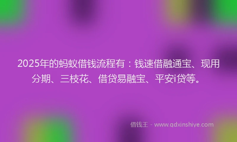 2025年的蚂蚁借钱流程有：钱速借融通宝、现用分期、三枝花、借贷易融宝、平安i贷等。