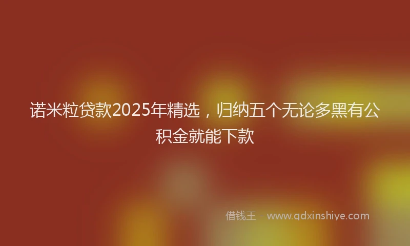 诺米粒贷款2025年精选，归纳五个无论多黑有公积金就能下款