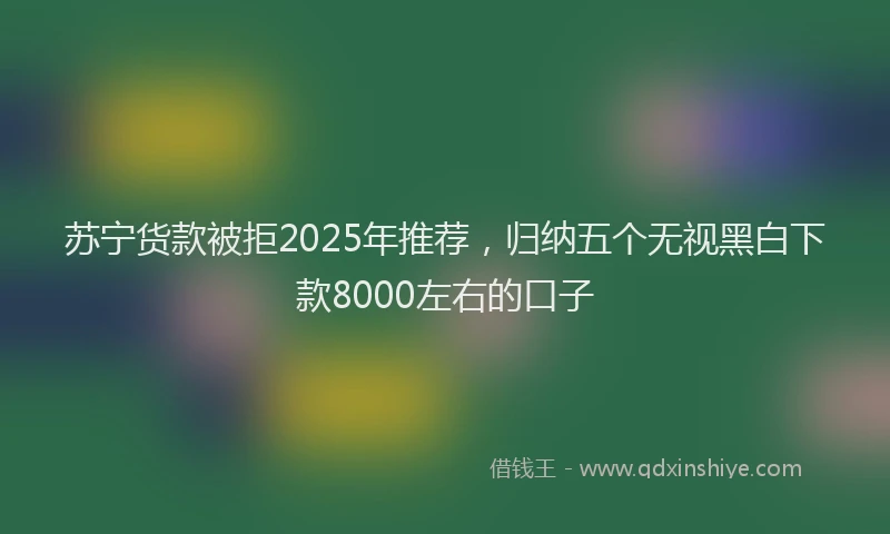 苏宁货款被拒2025年推荐，归纳五个无视黑白下款8000左右的口子