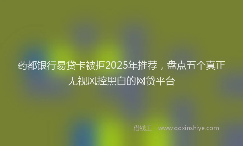 药都银行易贷卡被拒2025年推荐，盘点五个真正无视风控黑白的网贷平台