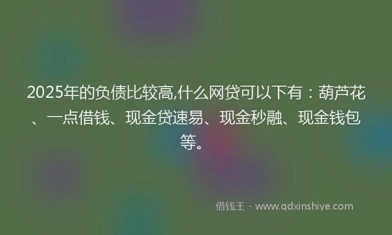 2025年的负债比较高,什么网贷可以下有：葫芦花、一点借钱、现金贷速易、现金秒融、现金钱包等。