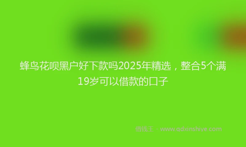 蜂鸟花呗黑户好下款吗2025年精选，整合5个满19岁可以借款的口子