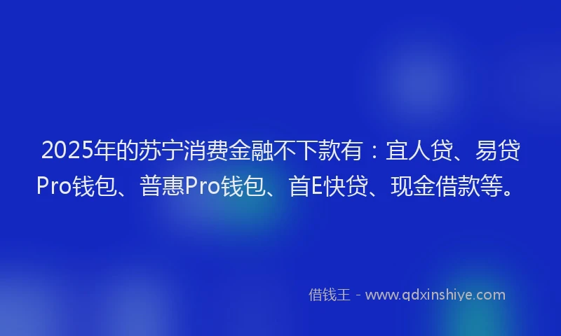 2025年的苏宁消费金融不下款有：宜人贷、易贷Pro钱包、普惠Pro钱包、首E快贷、现金借款等。