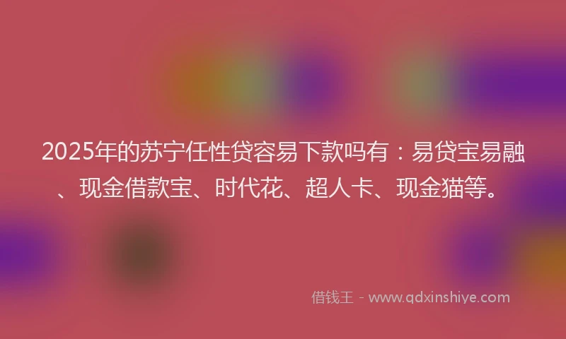 2025年的苏宁任性贷容易下款吗有：易贷宝易融、现金借款宝、时代花、超人卡、现金猫等。
