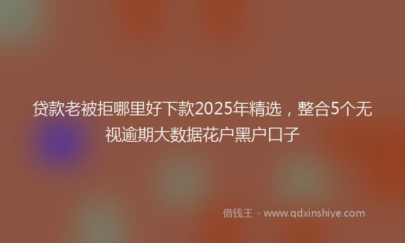 贷款老被拒哪里好下款2025年精选，整合5个无视逾期大数据花户黑户口子