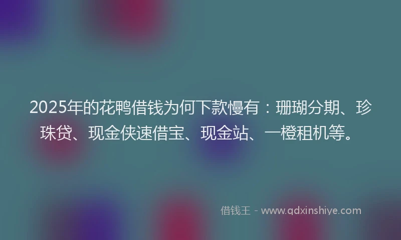 2025年的花鸭借钱为何下款慢有：珊瑚分期、珍珠贷、现金侠速借宝、现金站、一橙租机等。