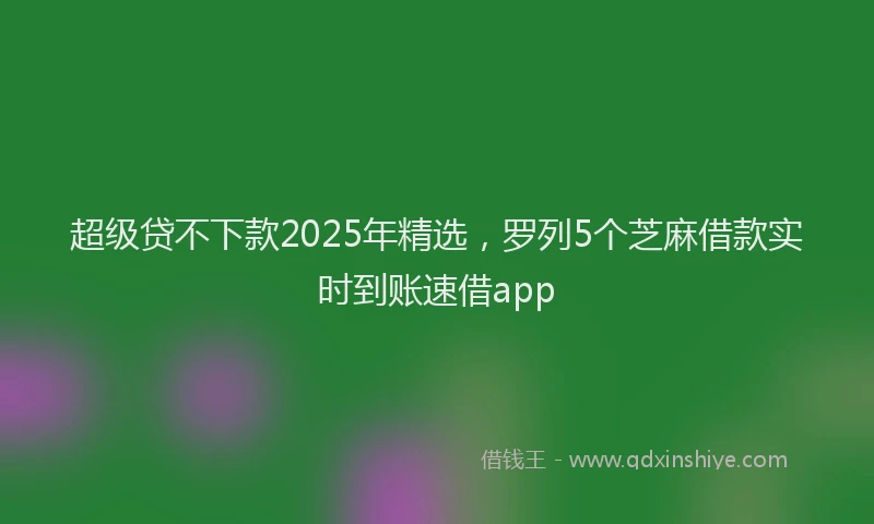 超级贷不下款2025年精选，罗列5个芝麻借款实时到账速借app