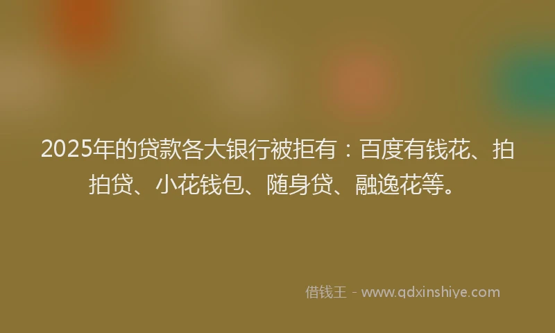2025年的贷款各大银行被拒有：百度有钱花、拍拍贷、小花钱包、随身贷、融逸花等。
