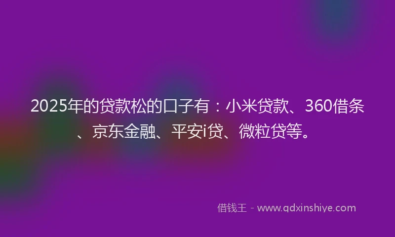 2025年的贷款松的口子有：小米贷款、360借条、京东金融、平安i贷、微粒贷等。