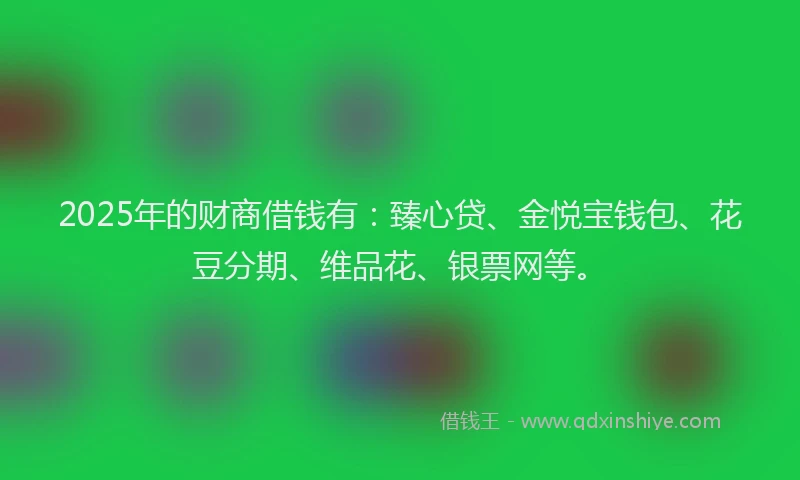 2025年的财商借钱有：臻心贷、金悦宝钱包、花豆分期、维品花、银票网等。