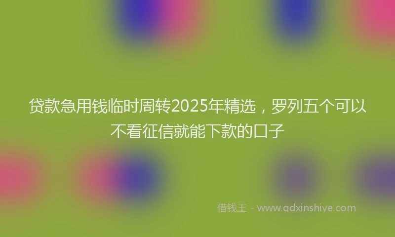 贷款急用钱临时周转2025年精选，罗列五个可以不看征信就能下款的口子