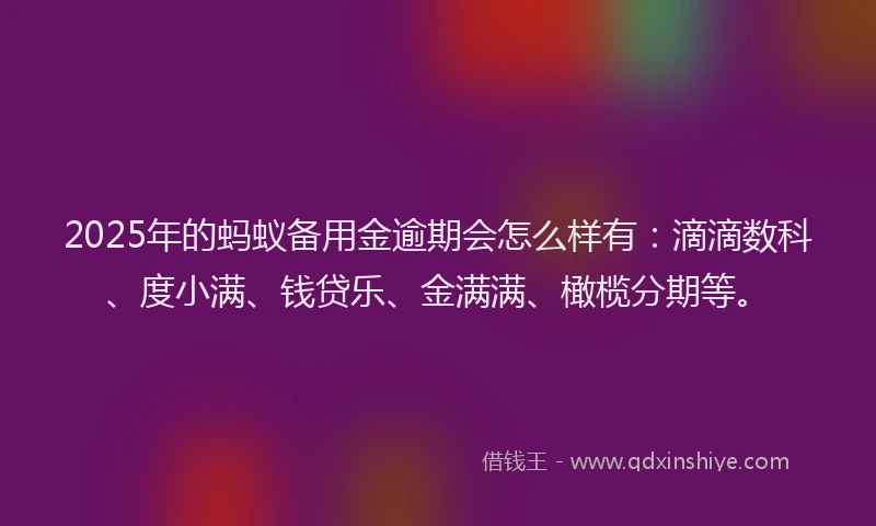 2025年的蚂蚁备用金逾期会怎么样有：滴滴数科、度小满、钱贷乐、金满满、橄榄分期等。