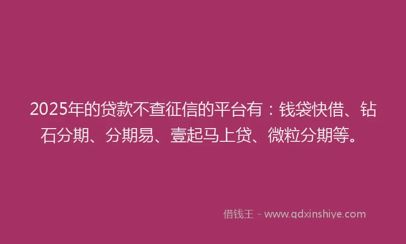 2025年的贷款不查征信的平台有：钱袋快借、钻石分期、分期易、壹起马上贷、微粒分期等。