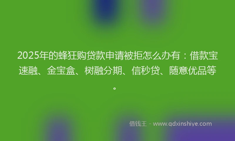 2025年的蜂狂购贷款申请被拒怎么办有：借款宝速融、金宝盒、树融分期、信秒贷、随意优品等。