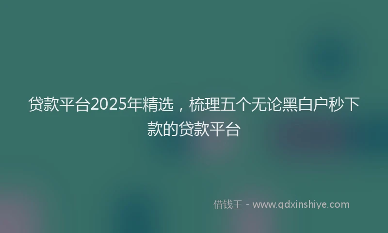 贷款平台2025年精选，梳理五个无论黑白户秒下款的贷款平台