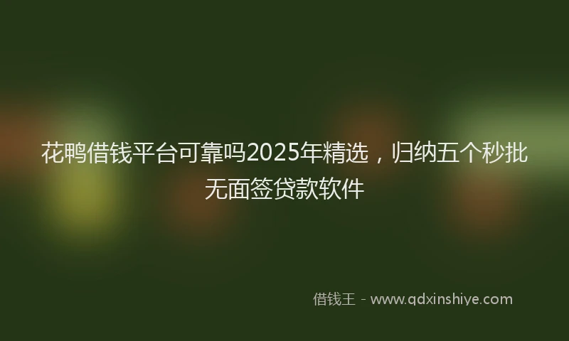 花鸭借钱平台可靠吗2025年精选，归纳五个秒批无面签贷款软件