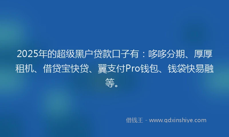 2025年的超级黑户贷款口子有：哆哆分期、厚厚租机、借贷宝快贷、翼支付Pro钱包、钱袋快易融等。