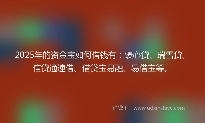 2025年的资金宝如何借钱有：臻心贷、瑞雪贷、信贷通速借、借贷宝易融、易借宝等。