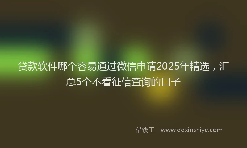 贷款软件哪个容易通过微信申请2025年精选，汇总5个不看征信查询的口子