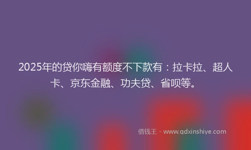 2025年的贷你嗨有额度不下款有：拉卡拉、超人卡、京东金融、功夫贷、省呗等。