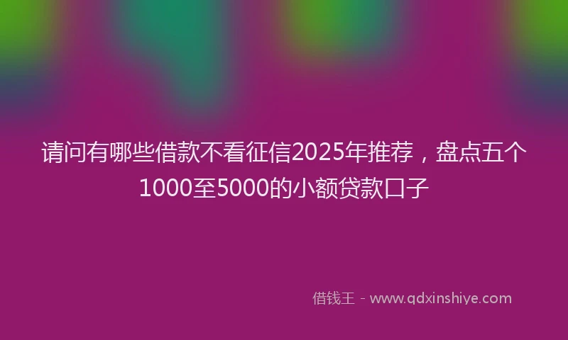 请问有哪些借款不看征信2025年推荐，盘点五个1000至5000的小额贷款口子