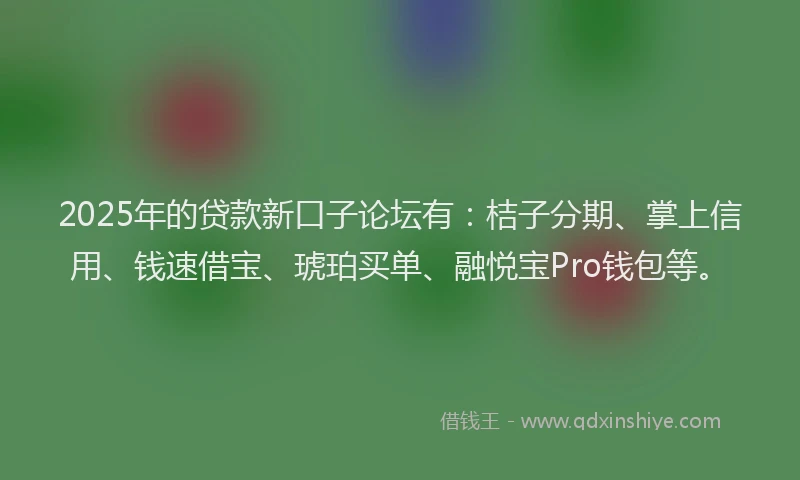 2025年的贷款新口子论坛有：桔子分期、掌上信用、钱速借宝、琥珀买单、融悦宝Pro钱包等。