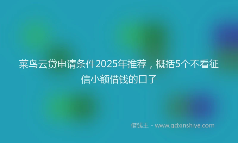 菜鸟云贷申请条件2025年推荐，概括5个不看征信小额借钱的口子