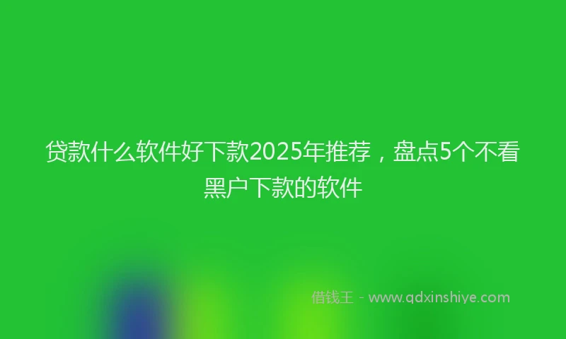 贷款什么软件好下款2025年推荐，盘点5个不看黑户下款的软件
