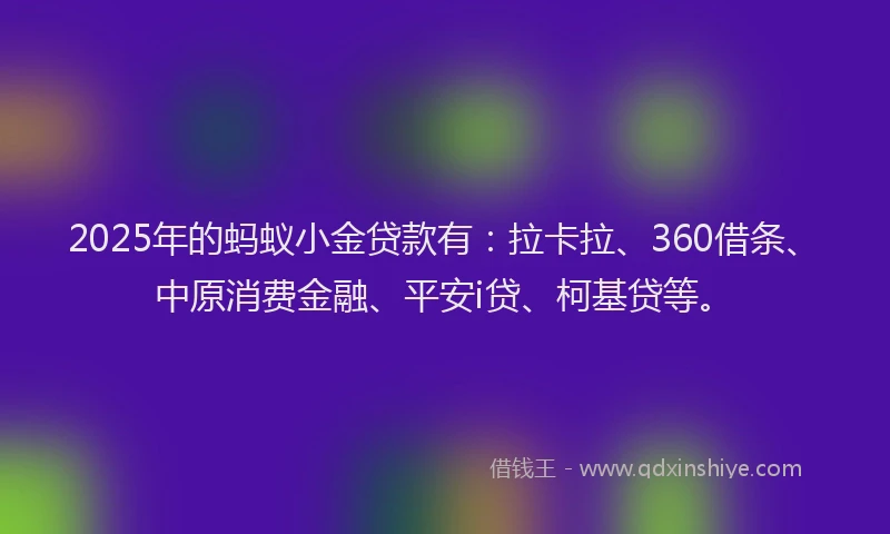 2025年的蚂蚁小金贷款有：拉卡拉、360借条、中原消费金融、平安i贷、柯基贷等。