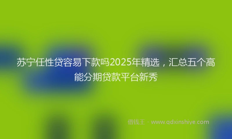 苏宁任性贷容易下款吗2025年精选，汇总五个高能分期贷款平台新秀