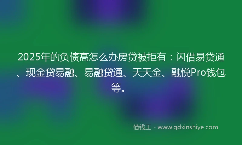 2025年的负债高怎么办房贷被拒有：闪借易贷通、现金贷易融、易融贷通、天天金、融悦Pro钱包等。